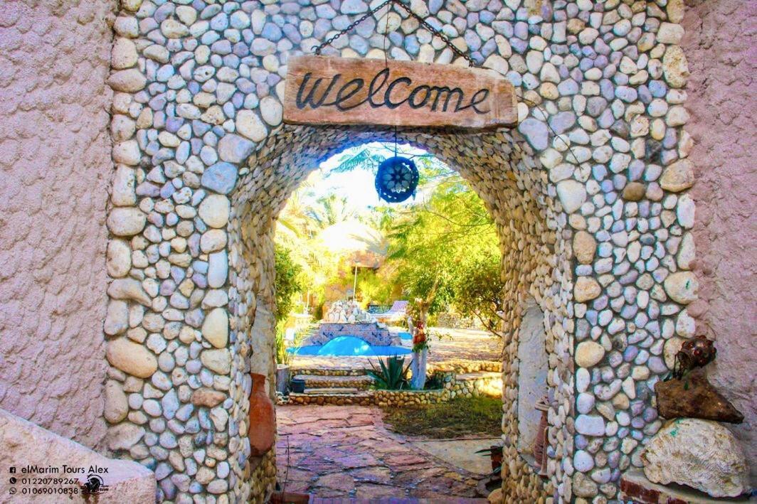 Dream Lodge Siwa Siwa Oasis Εξωτερικό φωτογραφία