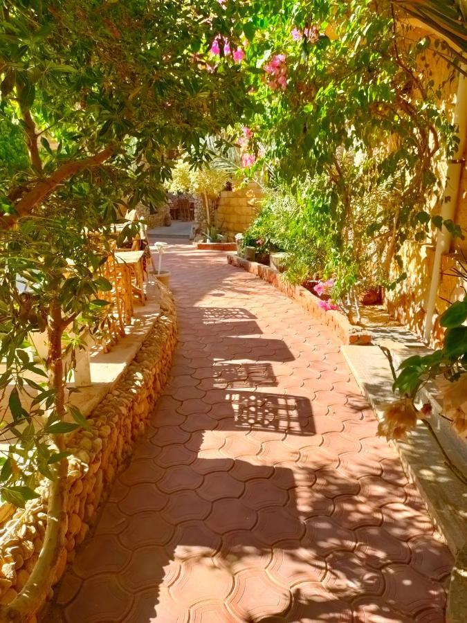 Dream Lodge Siwa Siwa Oasis Εξωτερικό φωτογραφία
