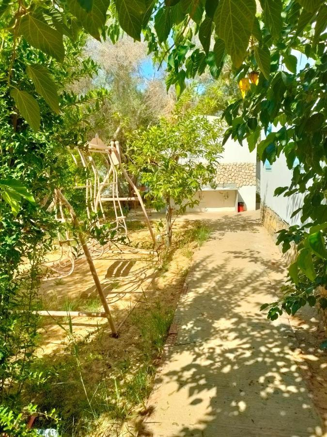 Dream Lodge Siwa Siwa Oasis Εξωτερικό φωτογραφία