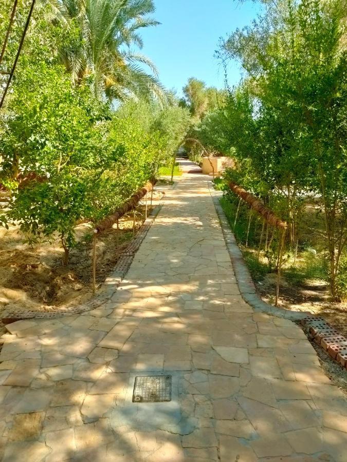 Dream Lodge Siwa Siwa Oasis Εξωτερικό φωτογραφία