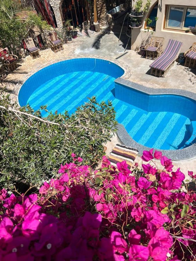 Dream Lodge Siwa Siwa Oasis Εξωτερικό φωτογραφία